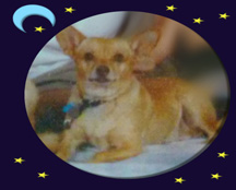 Peppi