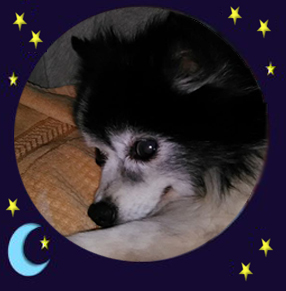 Pixie