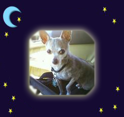 Cleo